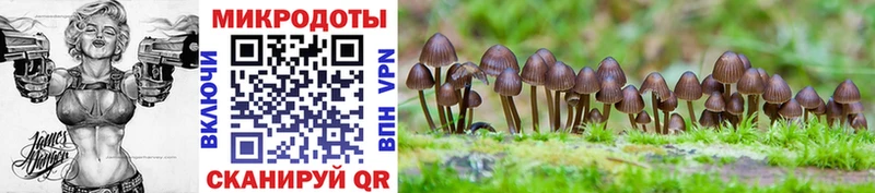 где продают   Курск  Галлюциногенные грибы мухоморы 